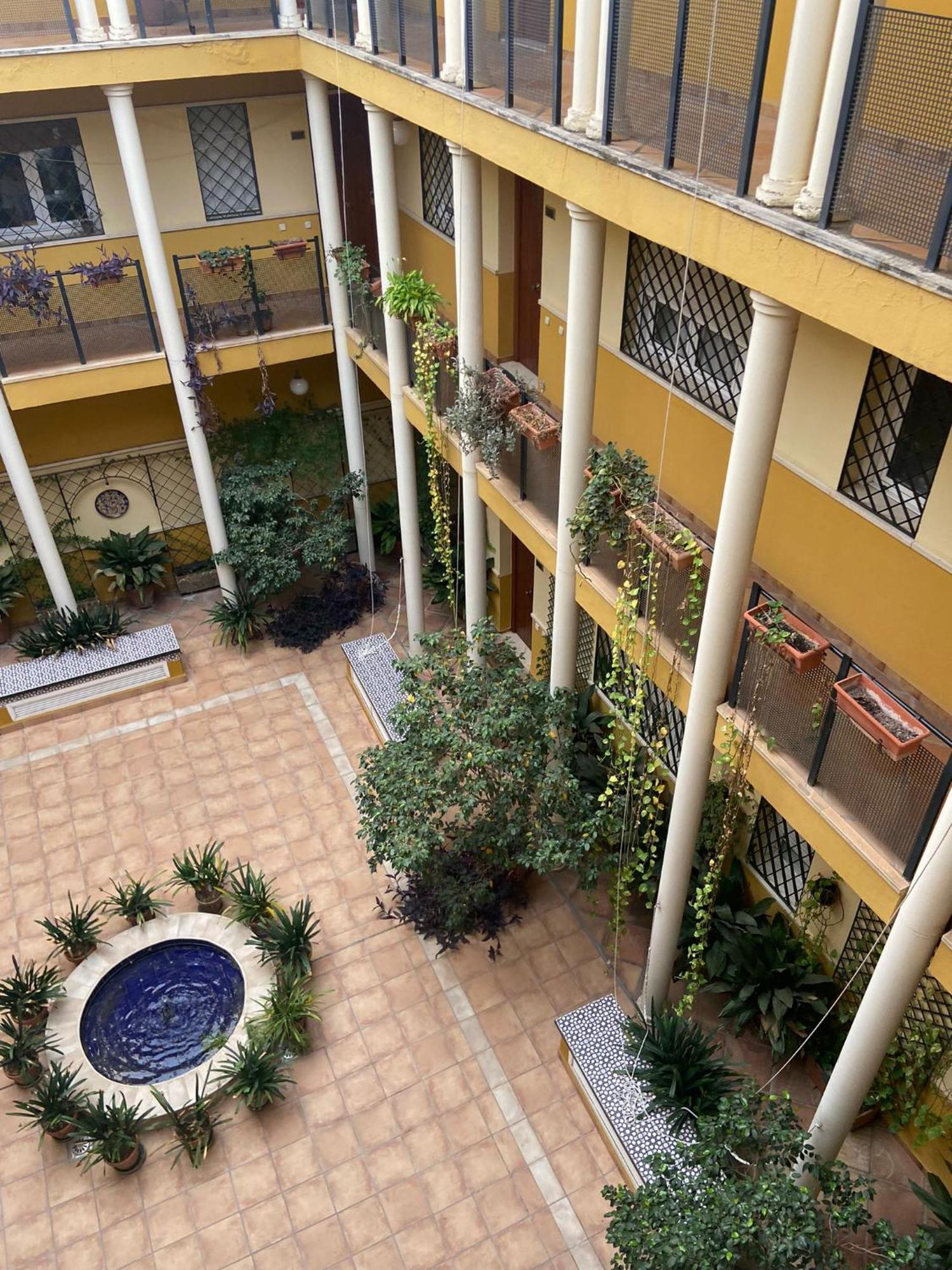 Comfortable And Cozy Apartment In The Center Of Seville — Photos 3